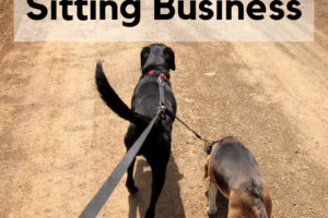How to make six figures in the pet sitting business