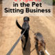 How to make six figures in the pet sitting business!